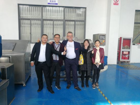 Automatic Powder Vertical Form Fill Seal Packing Machine