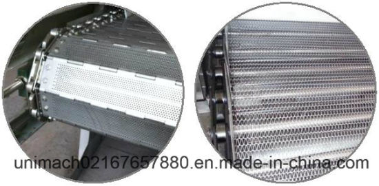 5 Layers Mesh Belt Dryer (DW5)