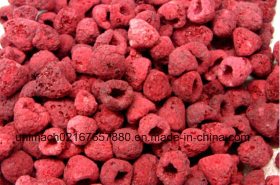 High Quality Food Freeze Dryer